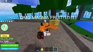 When you roll a fruit in Blox Fruits...