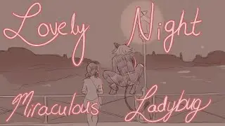 Lovely Night - Miraculous Ladybug Animatic