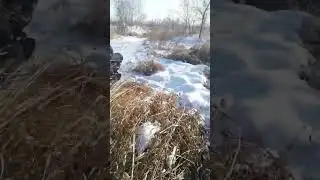 катуха