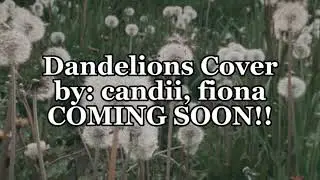 Dandelions Cover Teaser (by Candii and Fiona)