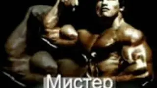 Мистер Арнольд