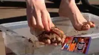 messy feet