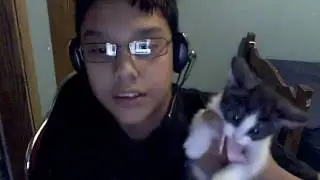 Cat Attack!