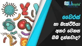 වෛරස් හා බැක්ටීරියා අතර වෙනස ඔබ දන්නවාද?