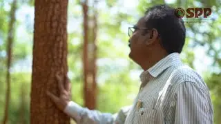 SPP VIDEO | Sai Properties & Projects Ltd | Redsandal |
