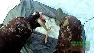 С новым годом всех рыбаков. Ловля плотвы на мормышку зимняя ловля плотвы. Ловля огромного судака.