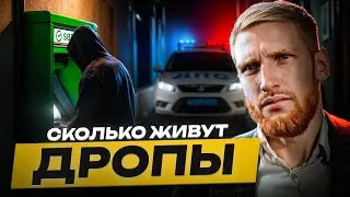 ⚠️ Сколько Живут Дропы в 2026?! Вся правда о «лёгких» деньгах
