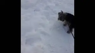 МИНИ ПРОГУЛКА С БАДДИКОМ!! ЧАСТЬ #1