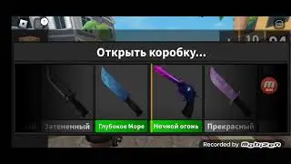 11 августа 2023 г.
