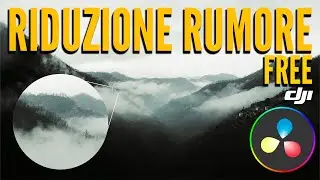 Riduzione RUMORE Video FREE - DJI Mini SE