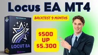 Locus EA MT4 Backtest 2024 | FX STORE EA