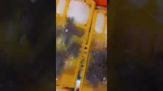 Карника Лунц!!!