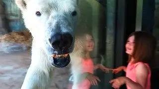 BREASTFEEDING AT THE ZOO ISN'T ALLOWED?!?