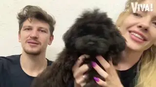 Звездный карантин: чем MamaRika и Сергей Середа занимаются после свадьбы