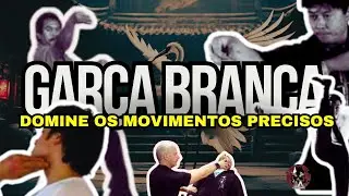 Kung Fu Garça Branca: Técnica Refinada para Defesa Imbatível