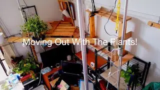 NEW HOUSE| Moving Out With The Plants