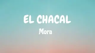EL CHACAL || LETRA || Mora