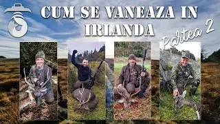 Cum se vaneaza in Irlanda - Partea 2