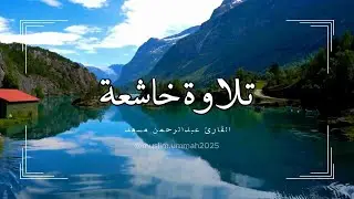 القرأن | تلاوة خاشعة القارئ عبدالرحمن مسعد | 