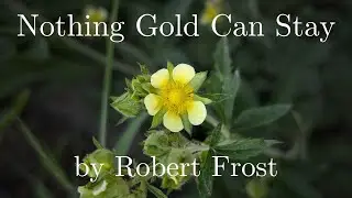 Nothing Gold Can Stay by Robert Frost - A Video Poem