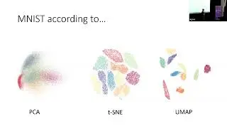 Dimension reduction - from tSNE to UMAP with Contrastive Learning
