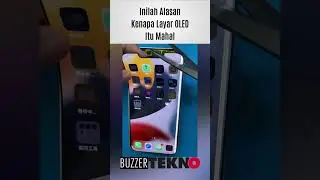 Inilah Alasan Kenapa Layar OLED Itu Mahal #shorts #techno #gadgets