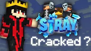 This is the Cracked Stray Pvp Server?