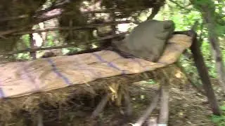 осмотр  пчелиной  семьи