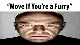 Move If You're a Furry