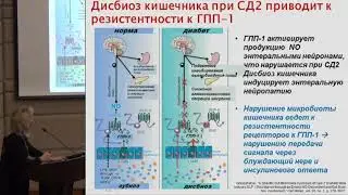 Роль микробиоты в развитии сахарного диабета 2 типа и ожирения.  Демидова Т.Ю.