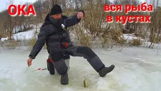 НАШЁЛ РЫБУ В КУСТАХ. КЛЁВАЯ ЛУНКА. Рыбалка на ОКЕ.