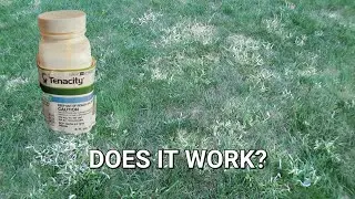 Tenacity Herbicide Results