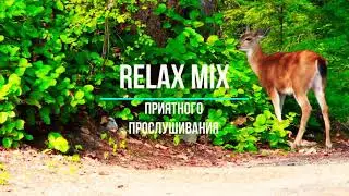 (HD) no comments Animals Video. Sounds.На кадрах реальные видео с животными.