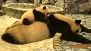 Мама ну вставай уже ,я есть хочу!!!