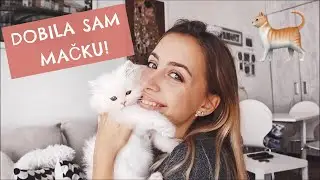 DOBILA SAM MAČKU!  | Ana Gligorijević