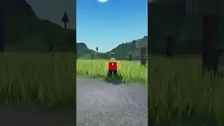 THE ROBLOX BALLER