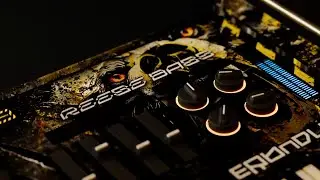 Erb N Dub - Reese Bass (VST / AU Instrument)