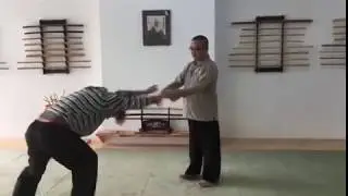 Master Huai Hsiang Wang - Prana Dynamics | The 5th instructor at THE MARTIAL CAMP 2020