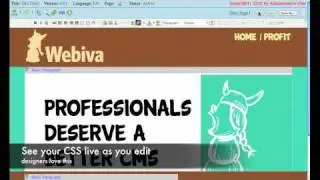Webiva MassChallenge Elevator Pitch
