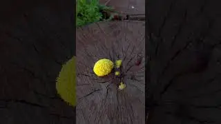 Неопознанный объект
