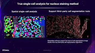 Stereo-seq Webinar | Stereo-seq V1.3 Landscape and Practical Demo Case