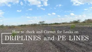 Dripline and PE Lines Maintenance: How to Check and Correct Leaks #farmingtips