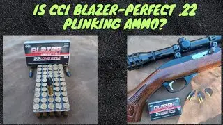 Is The CCI Blazer the Best .22 Plinking Ammo