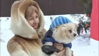 ОБЪЕКТИВ от 11 января 2017 года