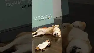 😍 МАРТИ ЧИЛИТ - СТОРИС ЭДИСОН МАЙНКРАФТ 