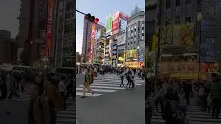 Shinjuku crossing in Tokyo, Japan