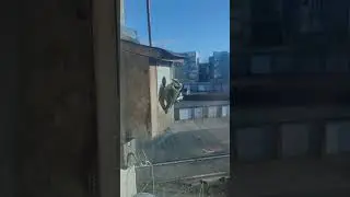 Home Sweet 💕 Home