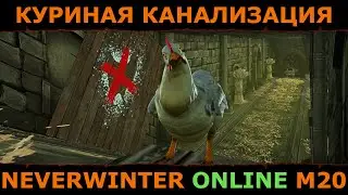куриная канализация | Neverwinter м20 