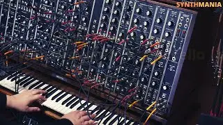 Brigitta variation with syn violin & syn cello (update to Dreamy performance patch on modular synth)