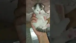 Yıkılmadım ve ayakta da değilim uzanıyorum #vlog #vlogs #mimarlık #şantiye #şantiyevideoları